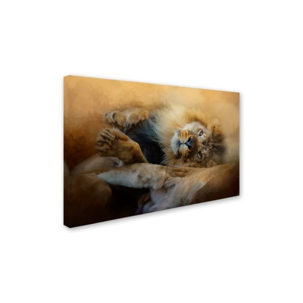 Jai Johnson 'Lion Love 2' Canvas Art,22x32